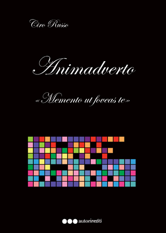 Animadverto