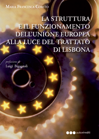 La struttura e il funzionamento dell'unione europea alla luce del trattato di Lisbona
