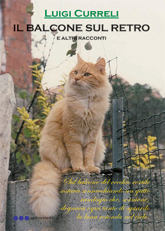 Il balcone sul retro