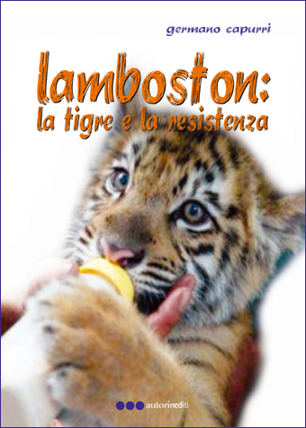 Lamboston: la tigre e la resistenza