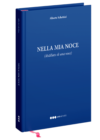 Nella mia noce