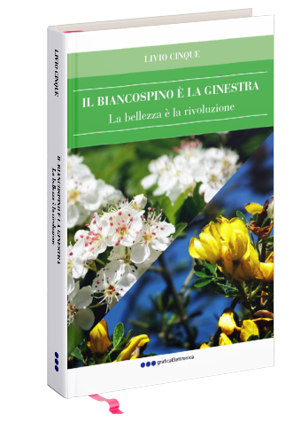 Il biancospino è la ginestra